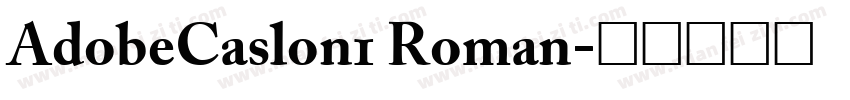 AdobeCaslon1 Roman字体转换